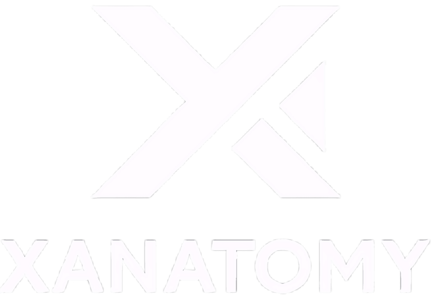 Anatomy